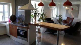Апартаменты Vilnius Luxury Apartment 1 Вильнюс Апартаменты с балконом-60